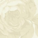 Tone-on-Tone Floral - Cream  - SAVE 20%! - More Details