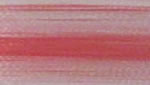 FV38 - Pink Stripe Variegated - More Details