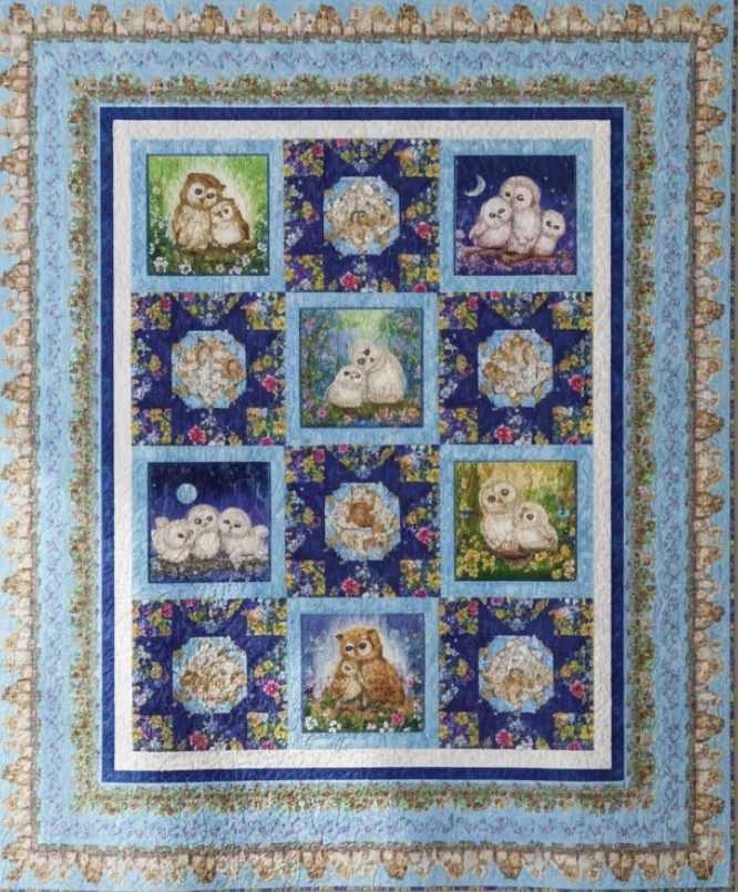 Epic Owls Quilt Kit