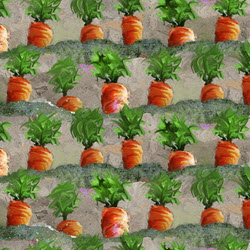 Funny Farm - Multi Carrots - More Details