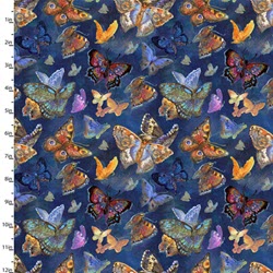 Ray of hope - Multi Butterflies - More Details