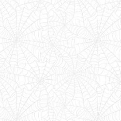 Morning Mist VII - White On White Spiderwebs - More Details