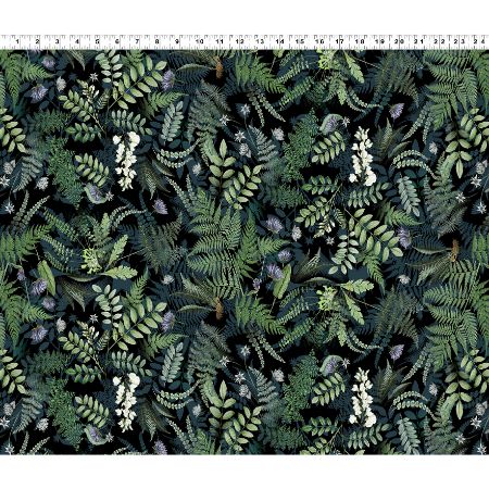 Botanical Journal - Digital Ferns Black