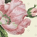 Floral Print - 1/2 yard PRECUT   - SAVE 20%! - More Details