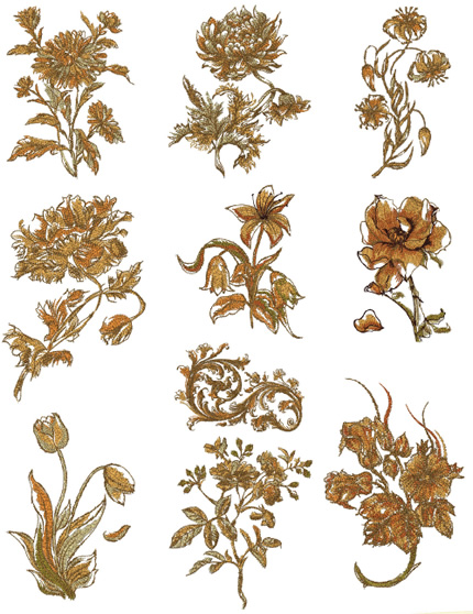 Floriani Embroidery Design Collection - Stems for Every Season