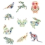 Floriani Embroidery Design Collection - Floral Fantasy