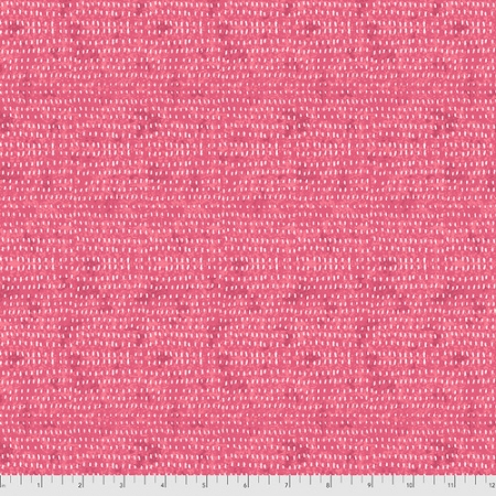 Seeds - Carnation Seeds