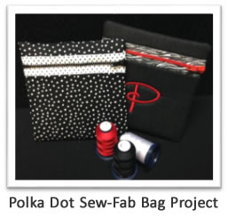 Polka Dot Sew-Fab Bag Project