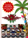 Floriani Holiday Glitz Collection with FREE Designs! - More Details
