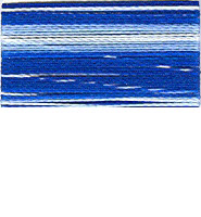 FV11 - Blue Stripe Variegated