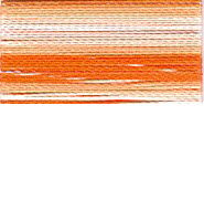 FV13 - Orange Stripe Variegated
