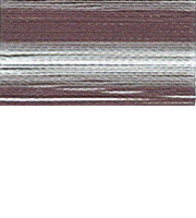 FV24 -Black Stripe Variegated
