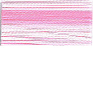 FV38 - Pink Stripe Variegated