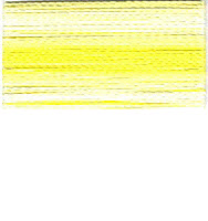 FV53 - Yellow Stripe Variegated