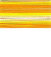 FV55 - Yellow Orange Stripe Variegated