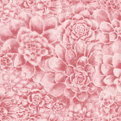 Sun 'N Soil - Succulent Texture Pink - More Details