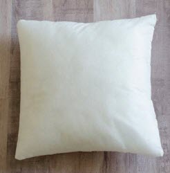 Kimberbell 8in x 8in Pillow Form - More Details