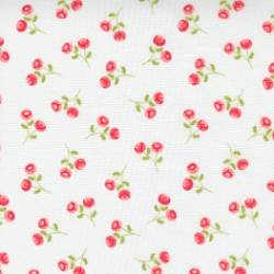 Beautiful Day - Rosebuds Floral White - More Details