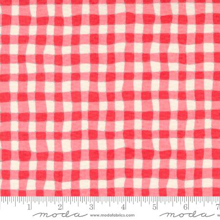 Fruit Loop - Bushel Checks and Plaids Gingham Rhubarb
