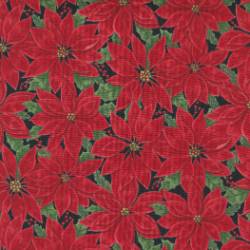 Home Sweet Holidays - Poinsettia All Over Red Black - More Details