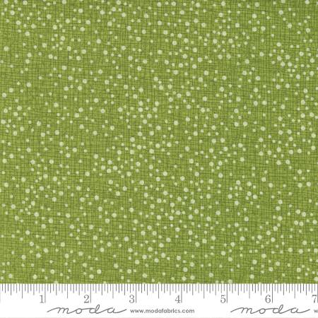 Pansys Posies - Dotty Thatched Fern