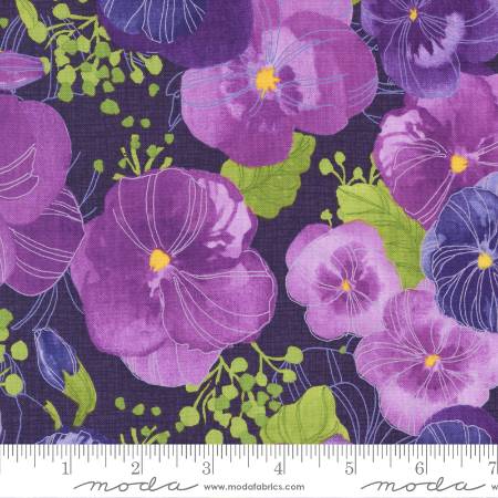 Pansys Posies - Main Pansy Amethyst