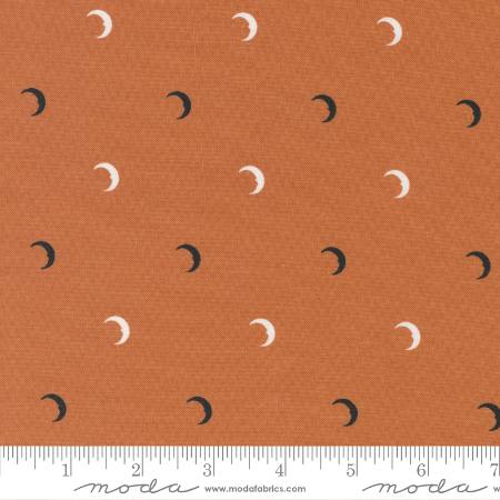 Spellbound - Mini Moons Pumpkin