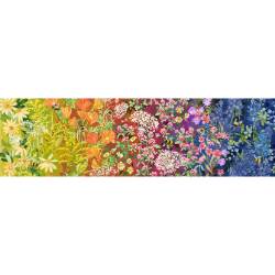 Wild Blossoms - Wildflowers Ombre Panel Rainbow - More Details