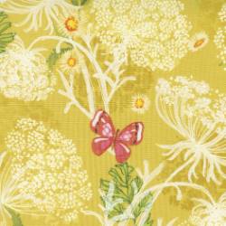 Wild Blossoms - Queen Annes Lace Florals Butterfly Maize - More Details