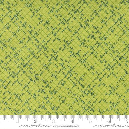 Wild Blossoms - Blotted Graph Paper Sunlit