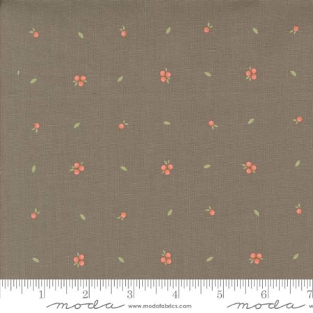 Abloom - Slate Little Sprout