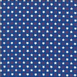 America the Beautiful - Lake Blue Stars & Stripes White - More Details