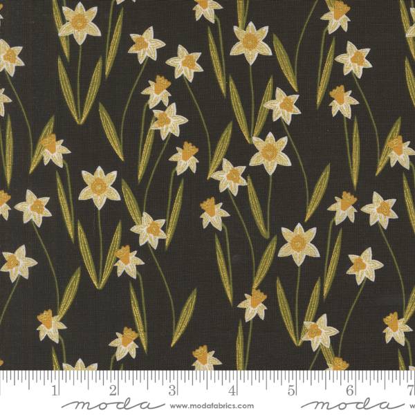 Bee Garden - Metallic Black Darling Daffodils