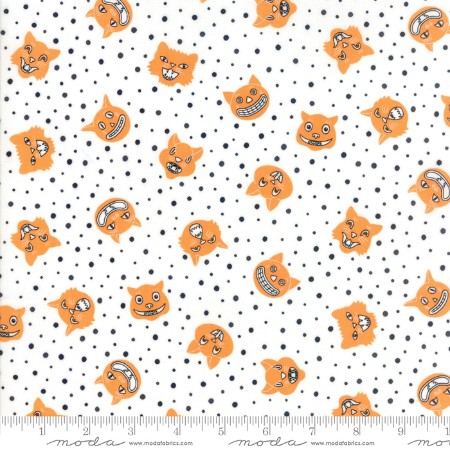 Dot Dot Boo White Orange Cat - ON SALE!