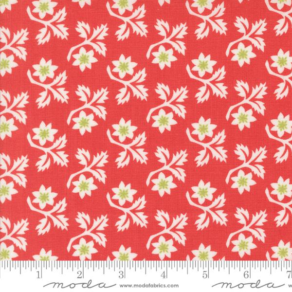 Buon Natale - Poinsettia Woodcut Christmas Flower