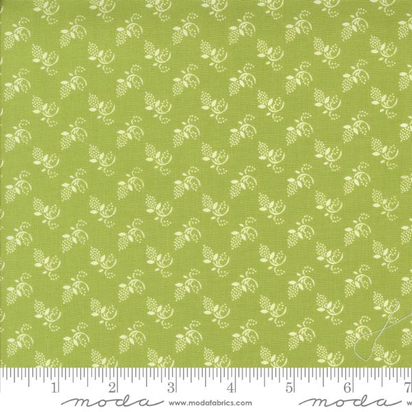 Buon Natale - Cedar Winter Buds