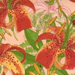 Carolina Lilies - Lilies Peach - More Details