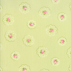 Caroline - Willow Daily Roses - More Details
