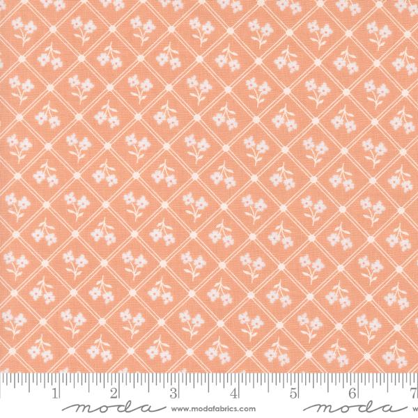 Cottage Charm - Peach Window Pane
