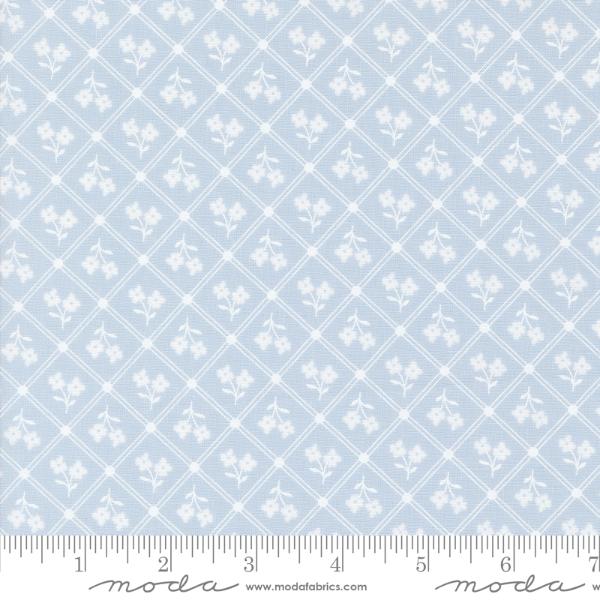 Cottage Charm - Powder Blue Window Pane