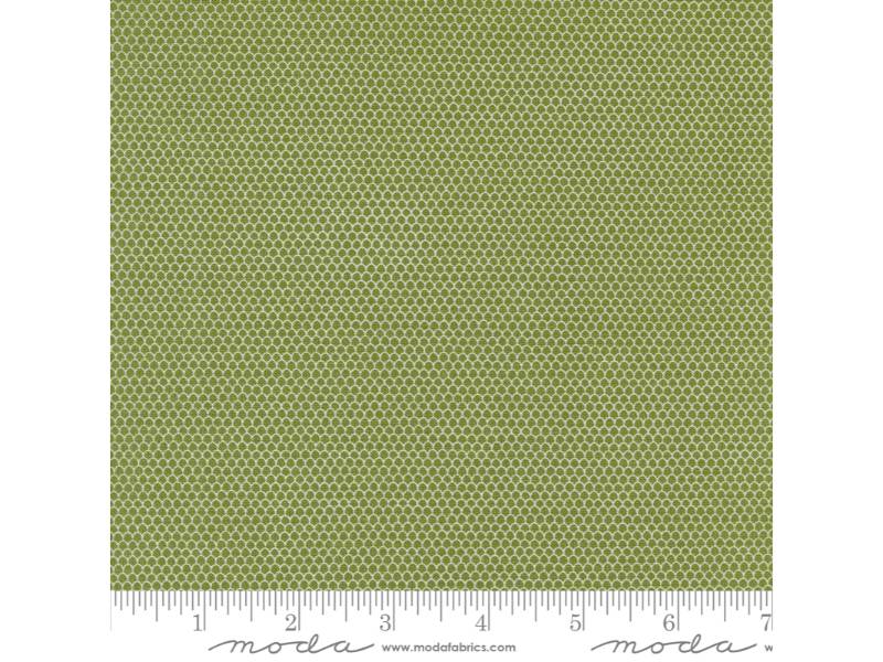 On Dasher - Mini Slopes Pine