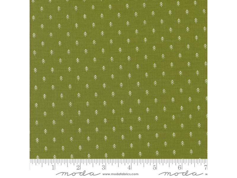 On Dasher - Tiny Trees Pine