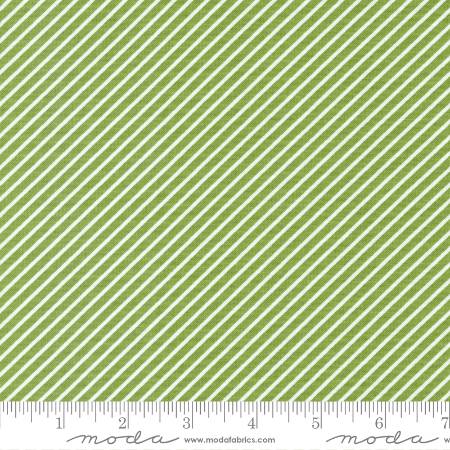 Favorite Things - Evergreen Stripe