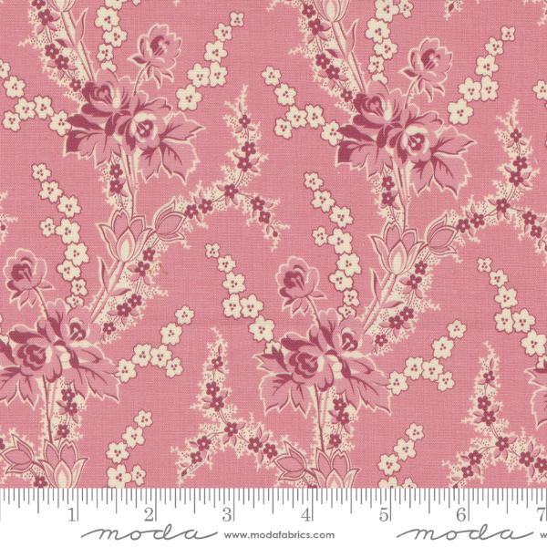 Goodnight Irene - Carnation Irene's Garden
