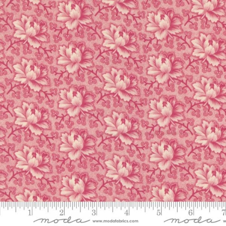 Goodnight Irene - Carnation Tea Rose