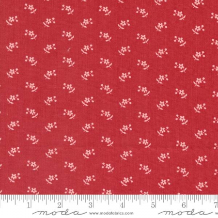 Grand Haven  - Cherry Calico Daisy