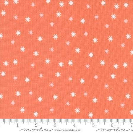 Hey Boo - Practical Magic Stars Soft Pumpkin