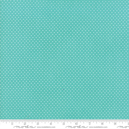 Home Sweet Home - Swiss Heart Aqua