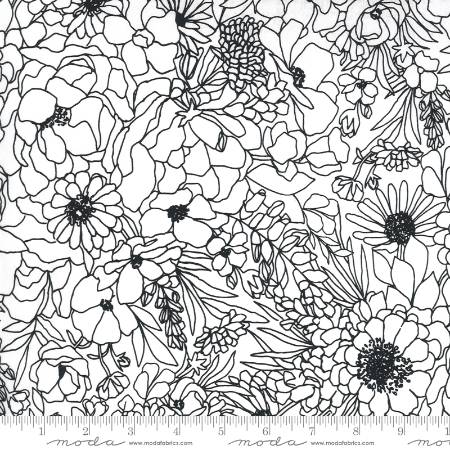 Illustrations - Modern Florals Paper