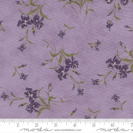Iris Ivy - Lavender Small Iris